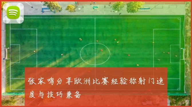 张家鸣分享欧洲比赛经验称射门速度与技巧兼备